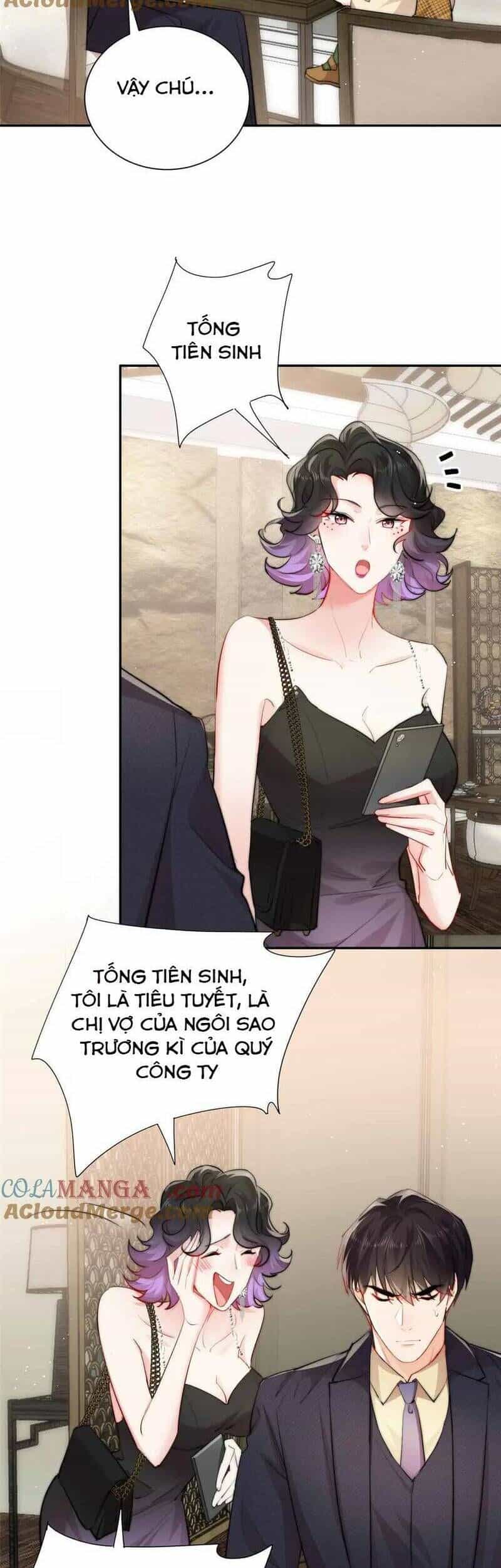 Tiểu Bảo Bối Đặc Biệt Của Tổng Tài Lạnh Lùng - Chương 40 - ảnh 14