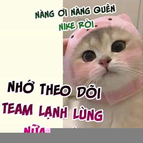 Tiểu Bảo Bối Đặc Biệt Của Tổng Tài Lạnh Lùng - Chương 44 - ảnh 31