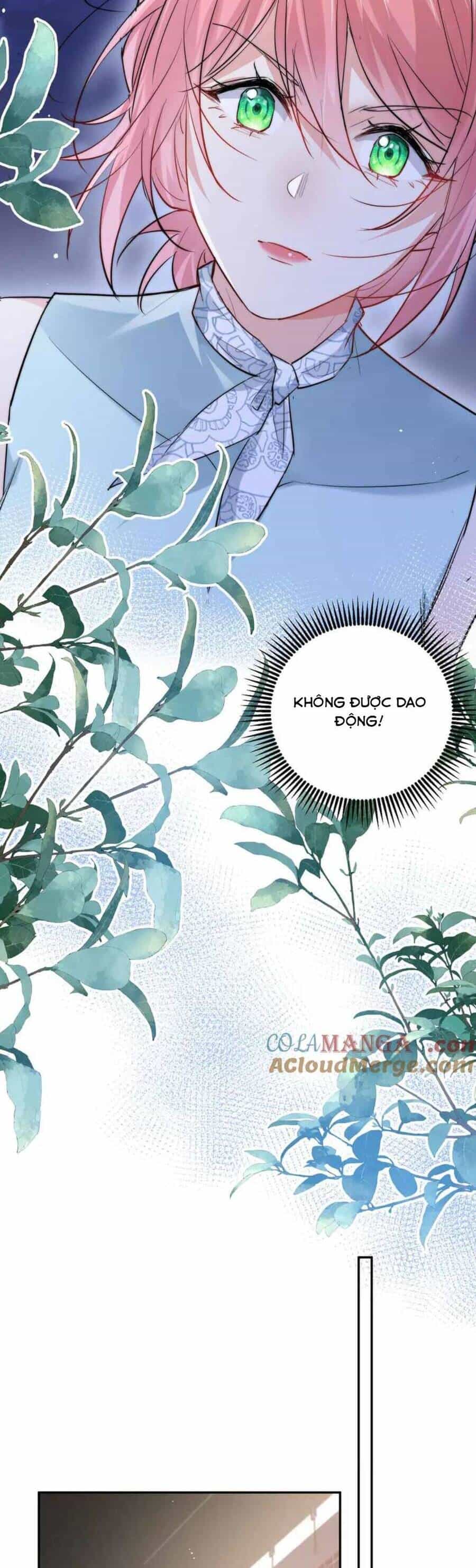 Tiểu Bảo Bối Đặc Biệt Của Tổng Tài Lạnh Lùng - Chương 49 - ảnh 21