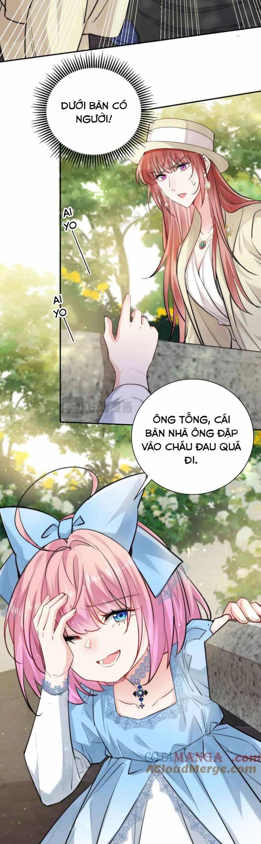 Tiểu Bảo Bối Đặc Biệt Của Tổng Tài Lạnh Lùng - Chương 51 - ảnh 13