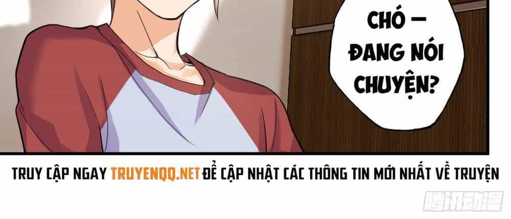 Tiểu Đệ Của Ta Là Yêu Vương - Chương 2 - ảnh 37