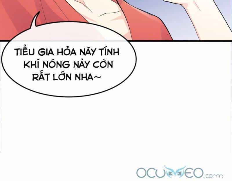 Tiểu Hồ Ly Hôm Nay Có Chút Ngoan - Chương 1 - ảnh 39