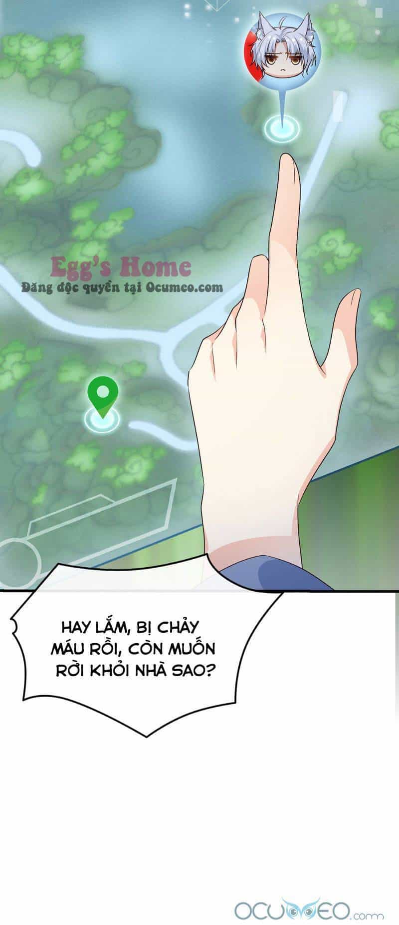 Tiểu Hồ Ly Hôm Nay Có Chút Ngoan - Chương 2 - ảnh 14