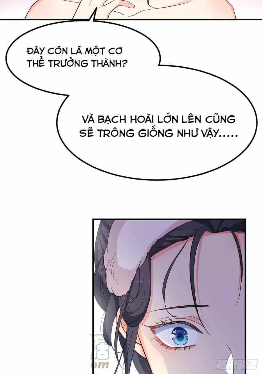 Tiểu Hồ Ly Hôm Nay Có Chút Ngoan - Chương 29 - ảnh 41