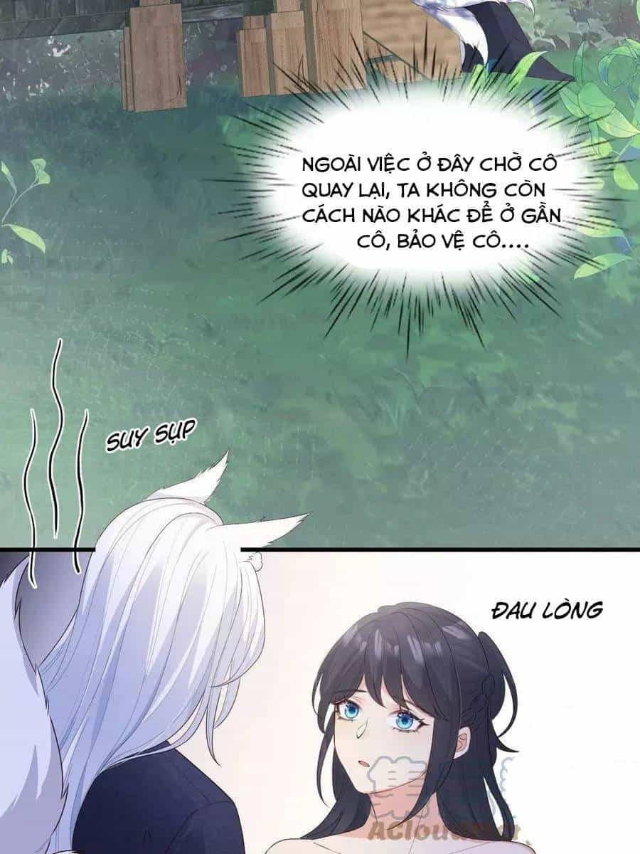 Tiểu Hồ Ly Hôm Nay Có Chút Ngoan - Chương 43 - ảnh 19