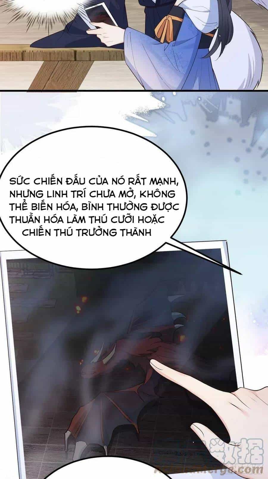 Tiểu Hồ Ly Hôm Nay Có Chút Ngoan - Chương 43 - ảnh 4