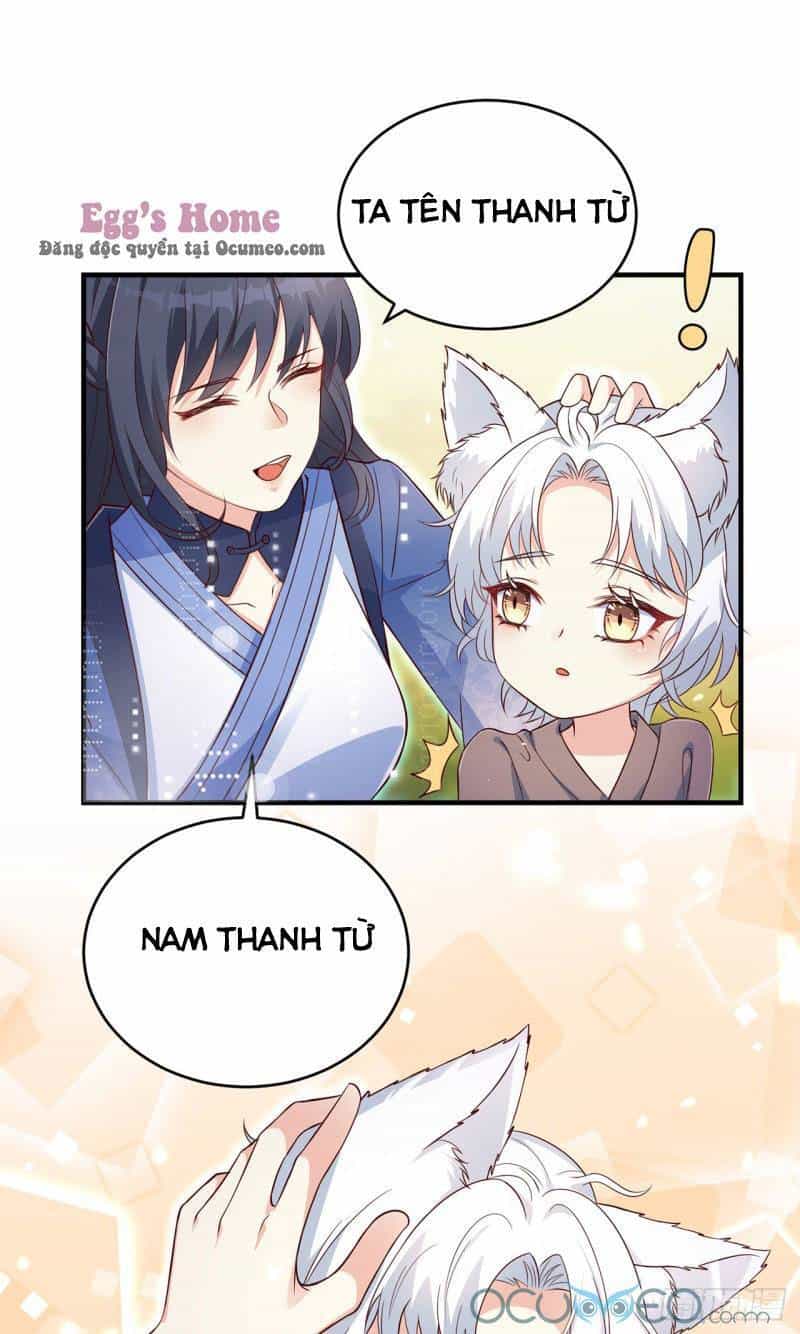 Tiểu Hồ Ly Hôm Nay Có Chút Ngoan - Chương 5 - ảnh 16