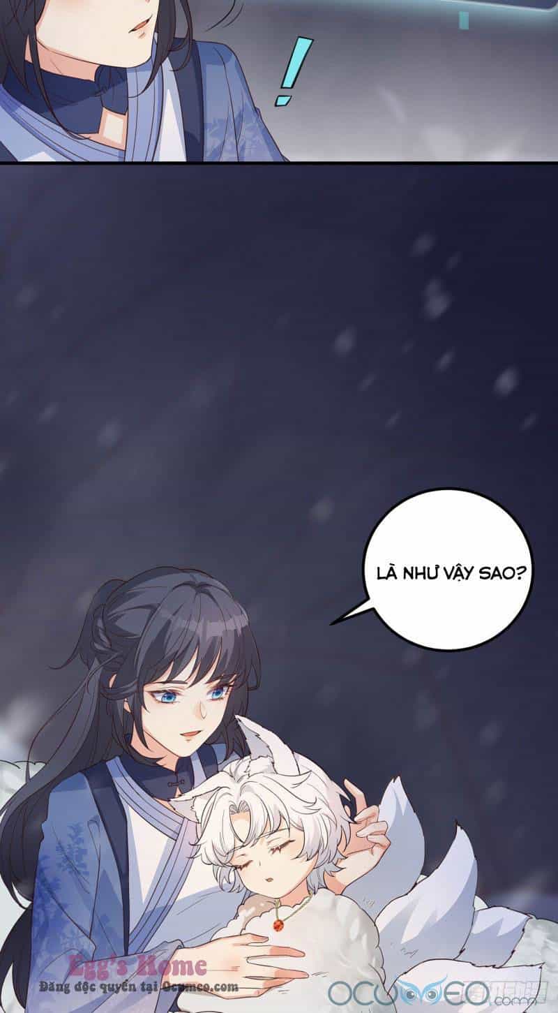 Tiểu Hồ Ly Hôm Nay Có Chút Ngoan - Chương 6 - ảnh 16