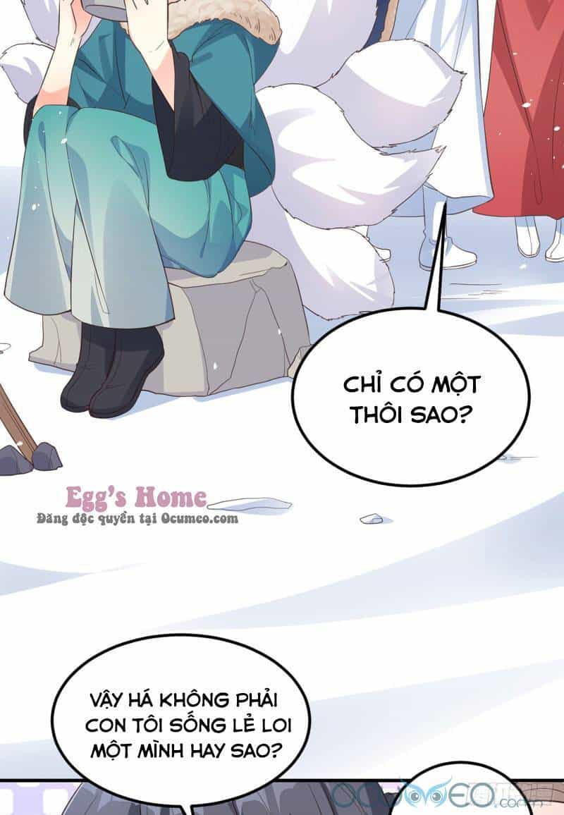 Tiểu Hồ Ly Hôm Nay Có Chút Ngoan - Chương 7 - ảnh 44