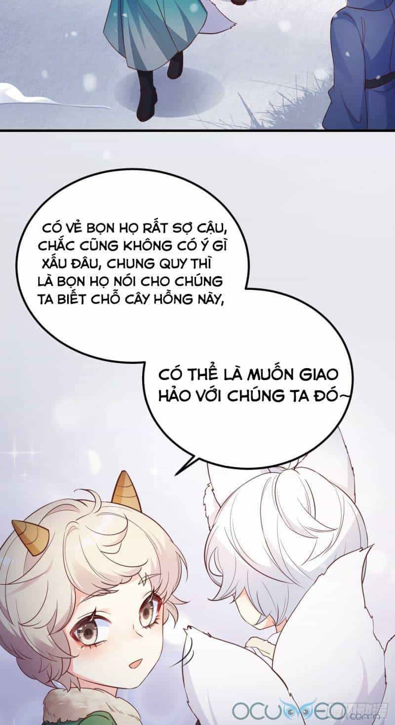 Tiểu Hồ Ly Hôm Nay Có Chút Ngoan - Chương 8 - ảnh 11