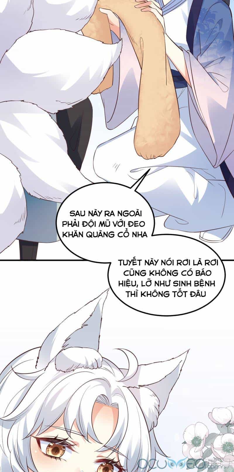 Tiểu Hồ Ly Hôm Nay Có Chút Ngoan - Chương 8 - ảnh 29