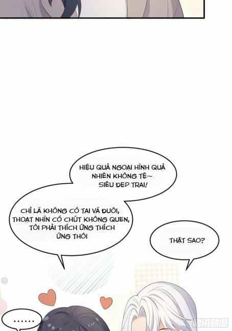 Tiểu Hồ Ly Hôm Nay Có Chút Ngoan - Chương 85 - ảnh 14
