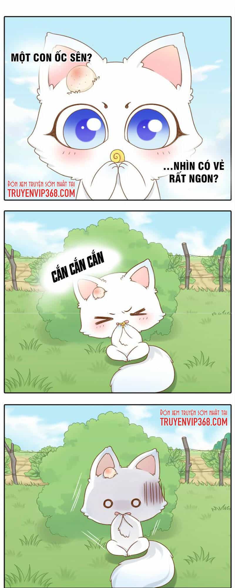 Tiểu Hoà Thượng - Chào Mừng Đến Trấn Yêu Quái - Chương 12 - ảnh 5