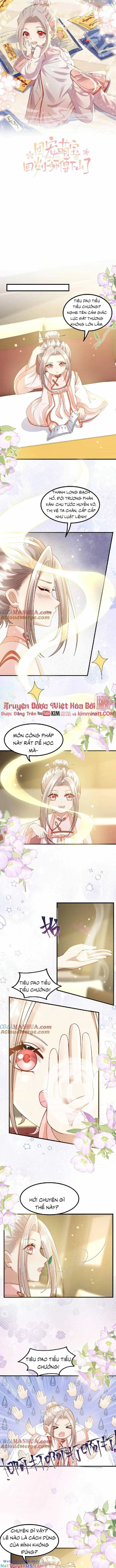 Tiểu Manh Bảo Bốn Tuổi Theo Sư Phụ Xuống Núi - Chương 139 - ảnh 2