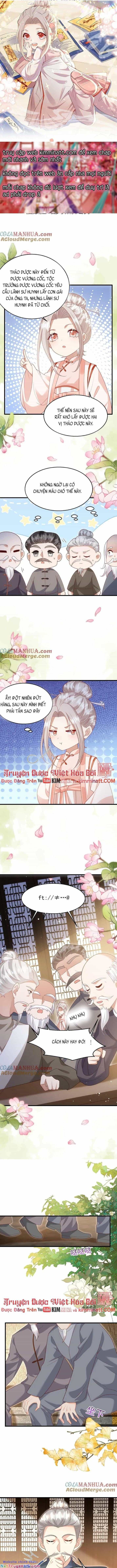 Tiểu Manh Bảo Bốn Tuổi Theo Sư Phụ Xuống Núi - Chương 209 - ảnh 2