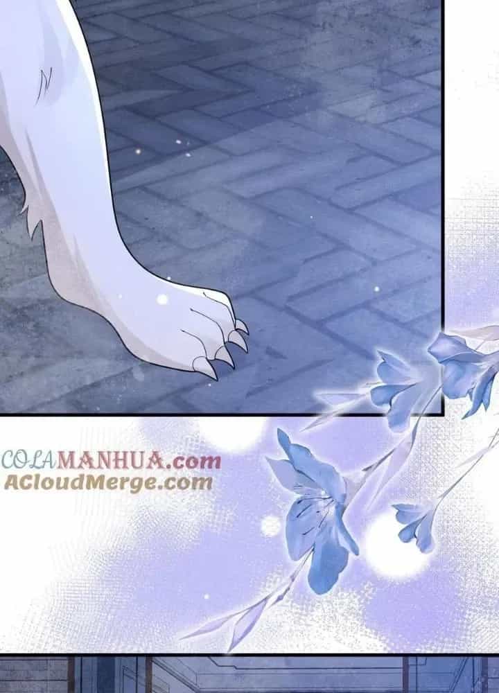 Tiểu Manh Bảo Bốn Tuổi Theo Sư Phụ Xuống Núi - Chương 223 - ảnh 57