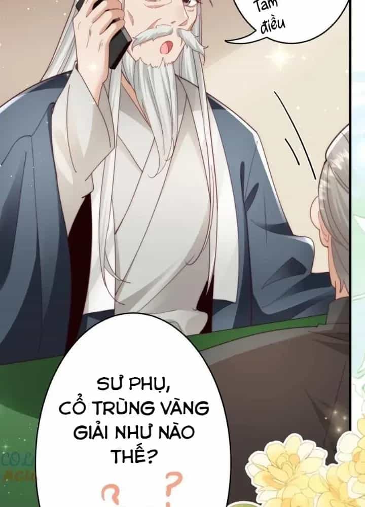 Tiểu Manh Bảo Bốn Tuổi Theo Sư Phụ Xuống Núi - Chương 311 - ảnh 43
