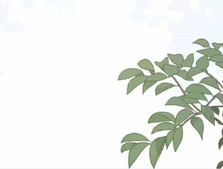 Tiểu Manh Bảo Bốn Tuổi Theo Sư Phụ Xuống Núi - Chương 287 - ảnh 79