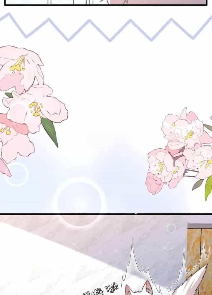 Tiểu Manh Bảo Bốn Tuổi Theo Sư Phụ Xuống Núi - Chương 291 - ảnh 25