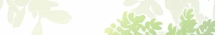 Tiểu Manh Bảo Bốn Tuổi Theo Sư Phụ Xuống Núi - Chương 304 - ảnh 25