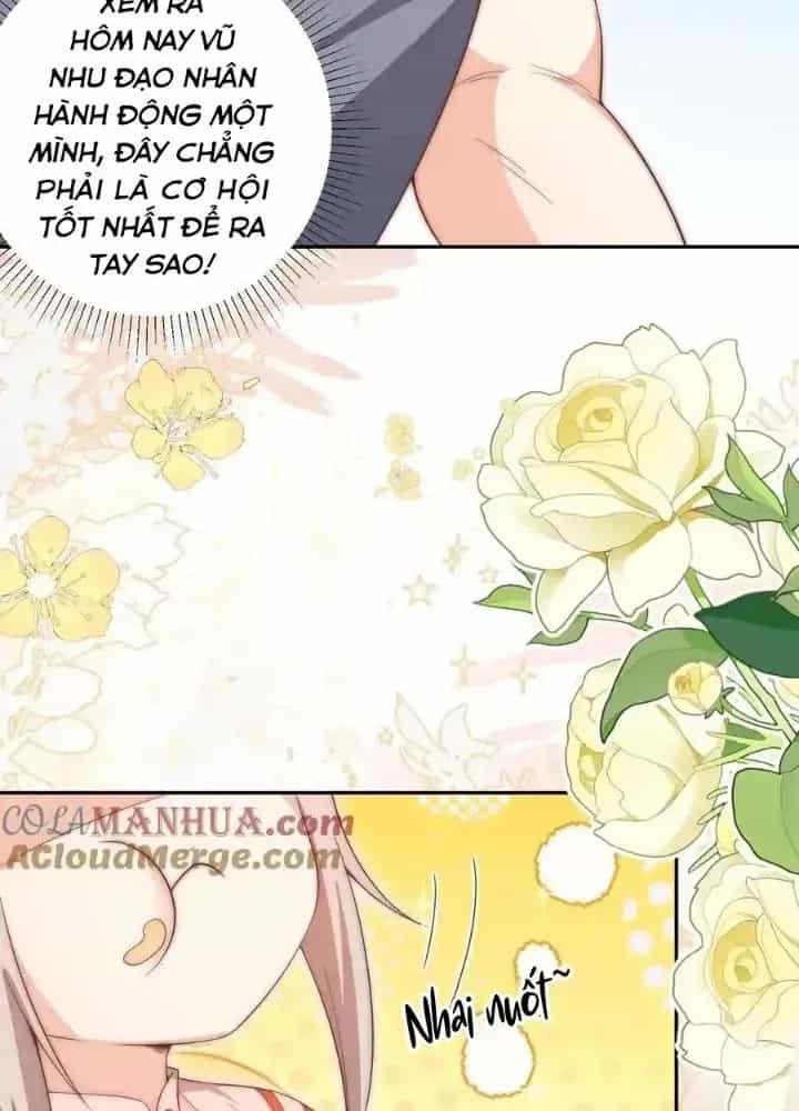 Tiểu Manh Bảo Bốn Tuổi Theo Sư Phụ Xuống Núi - Chương 352 - ảnh 25