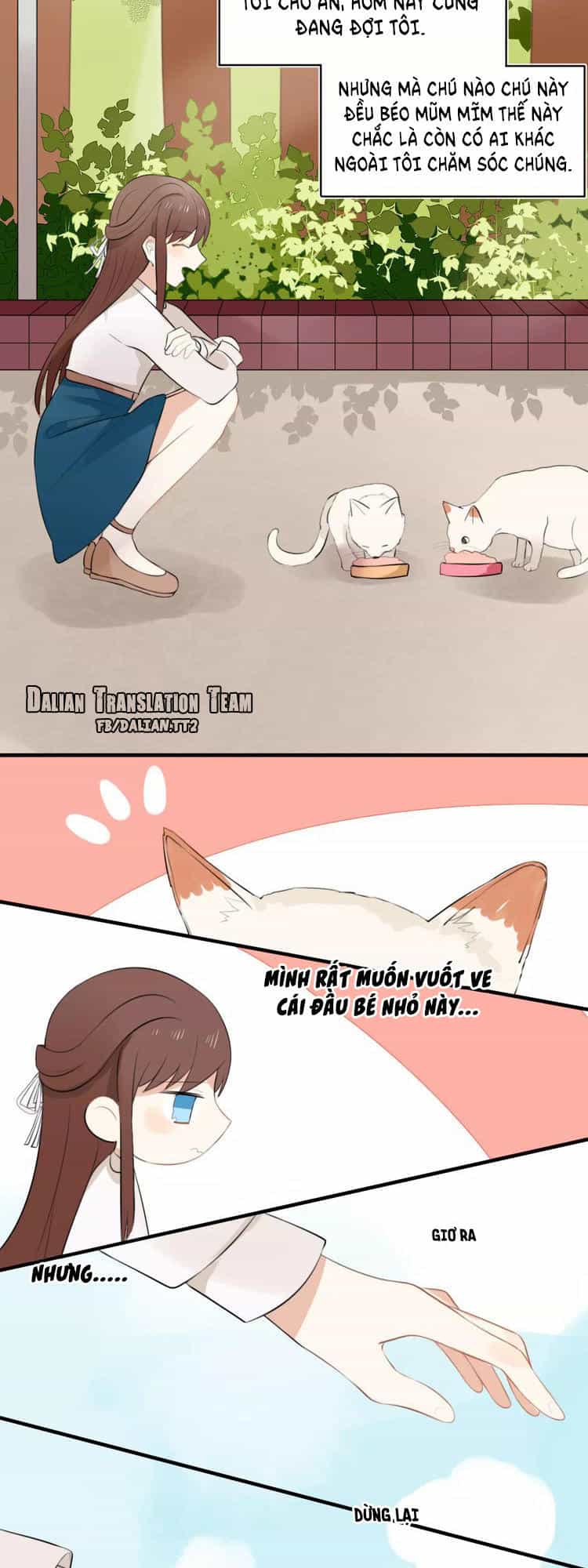 Tiểu Miêu Và Hắc Diệu Thạch - Chương 1 - ảnh 12