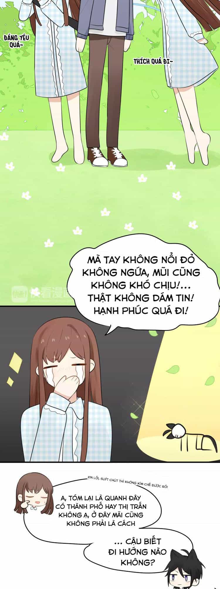 Tiểu Miêu Và Hắc Diệu Thạch - Chương 1 - ảnh 40