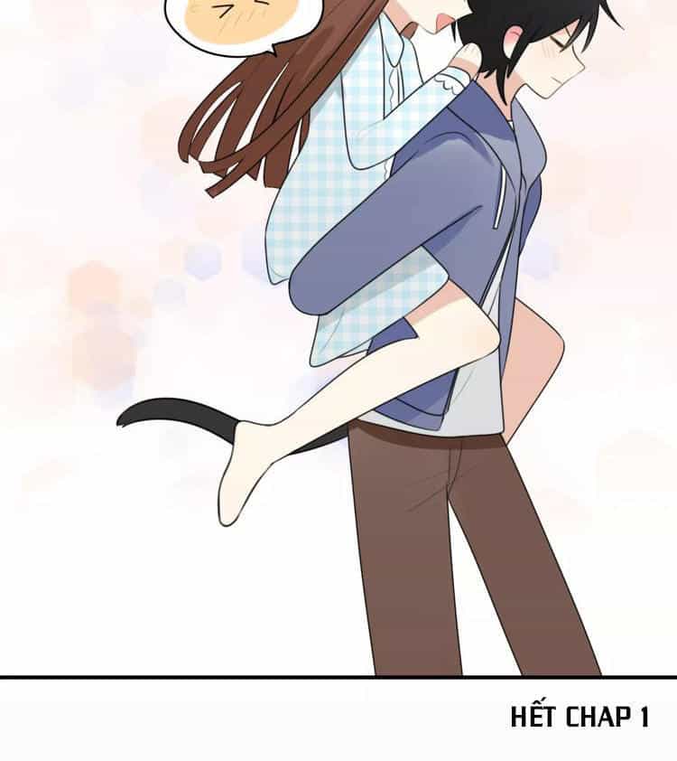 Tiểu Miêu Và Hắc Diệu Thạch - Chương 1 - ảnh 52