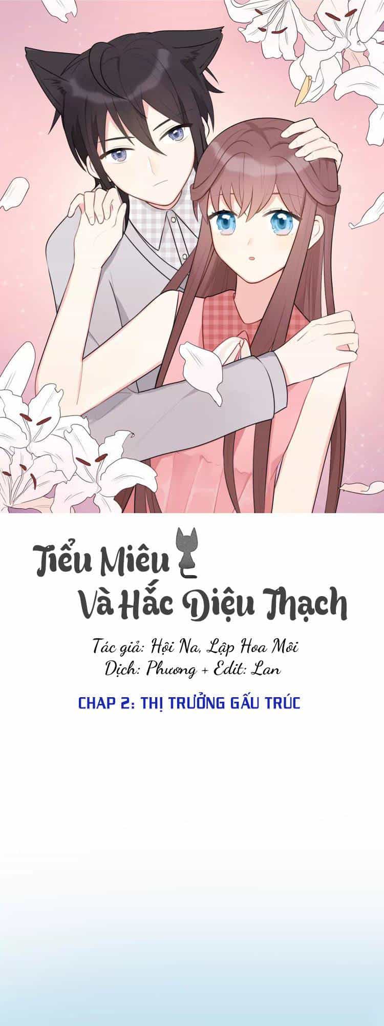 Tiểu Miêu Và Hắc Diệu Thạch - Chương 2 - ảnh 1