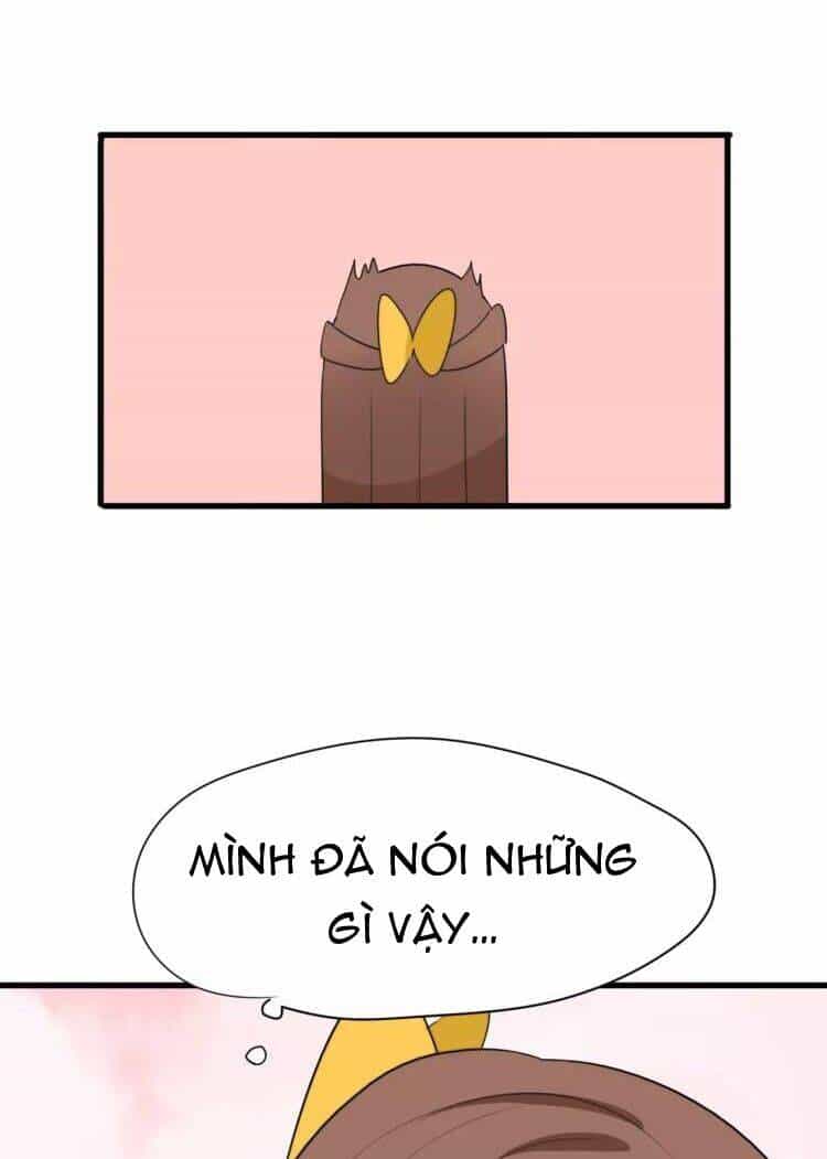 Tiểu Miêu Và Hắc Diệu Thạch - Chương 21 - ảnh 14