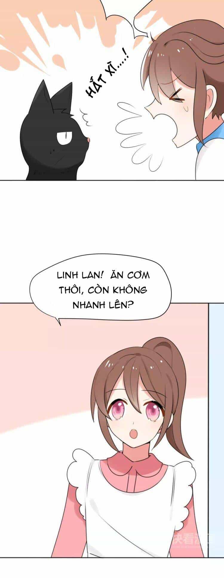 Tiểu Miêu Và Hắc Diệu Thạch - Chương 27 - ảnh 4