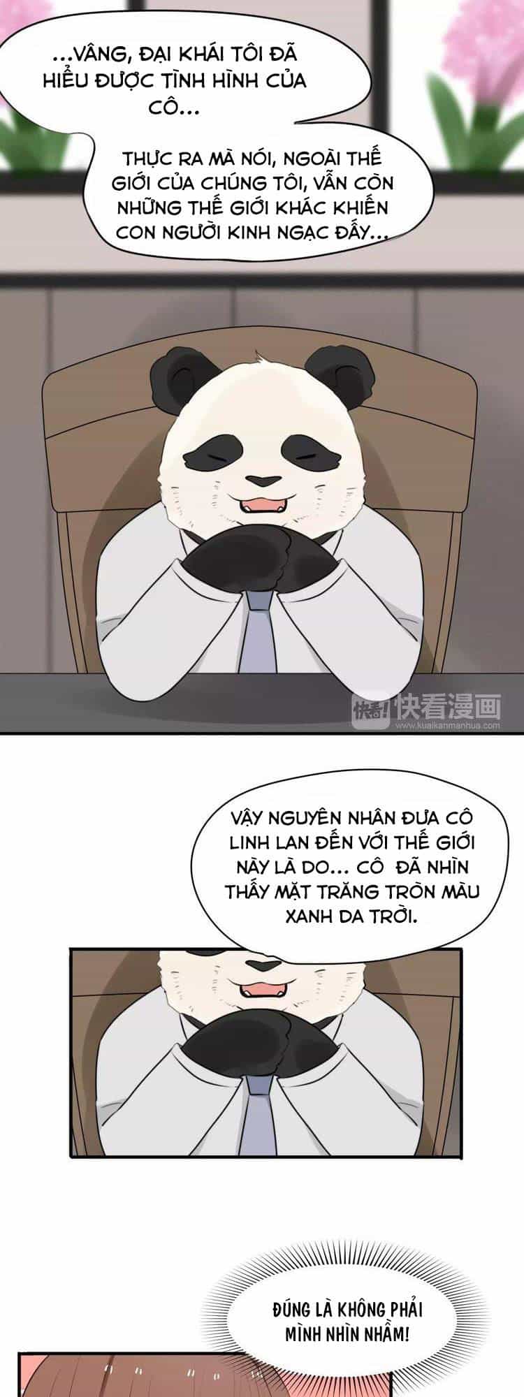Tiểu Miêu Và Hắc Diệu Thạch - Chương 3 - ảnh 2