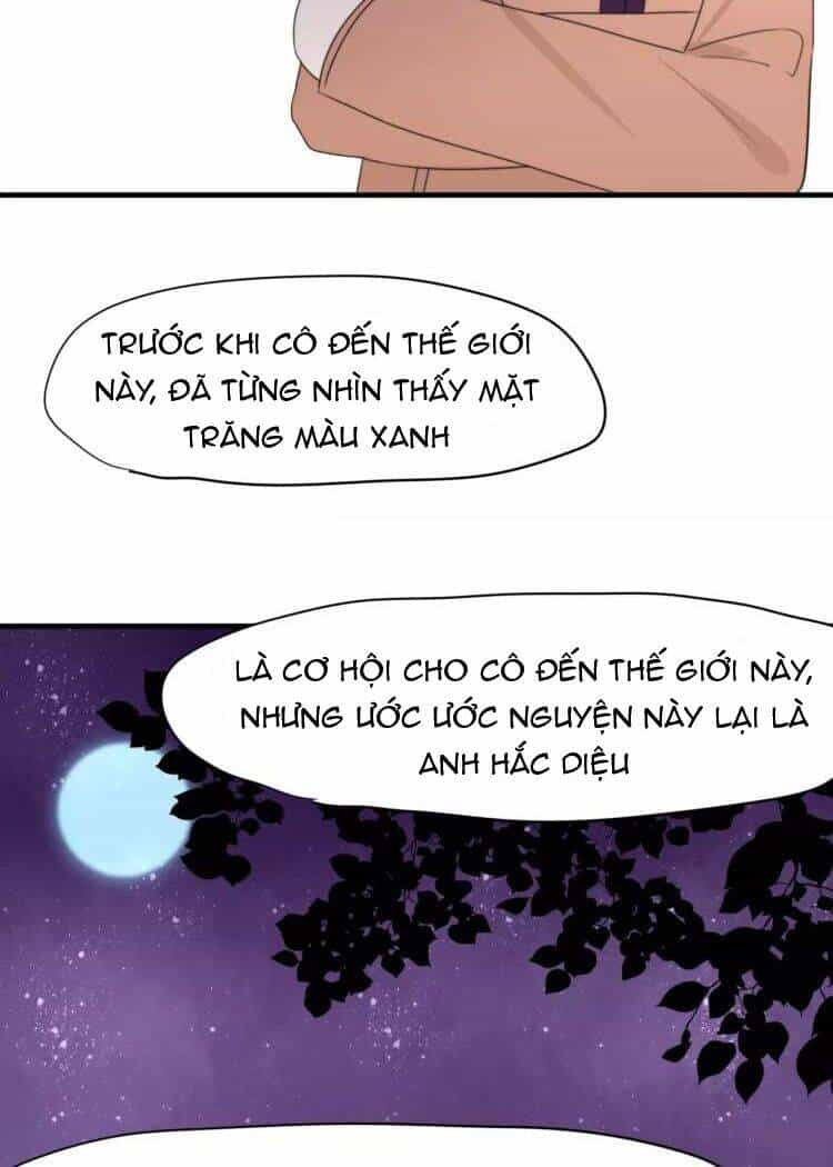 Tiểu Miêu Và Hắc Diệu Thạch - Chương 31 - ảnh 17