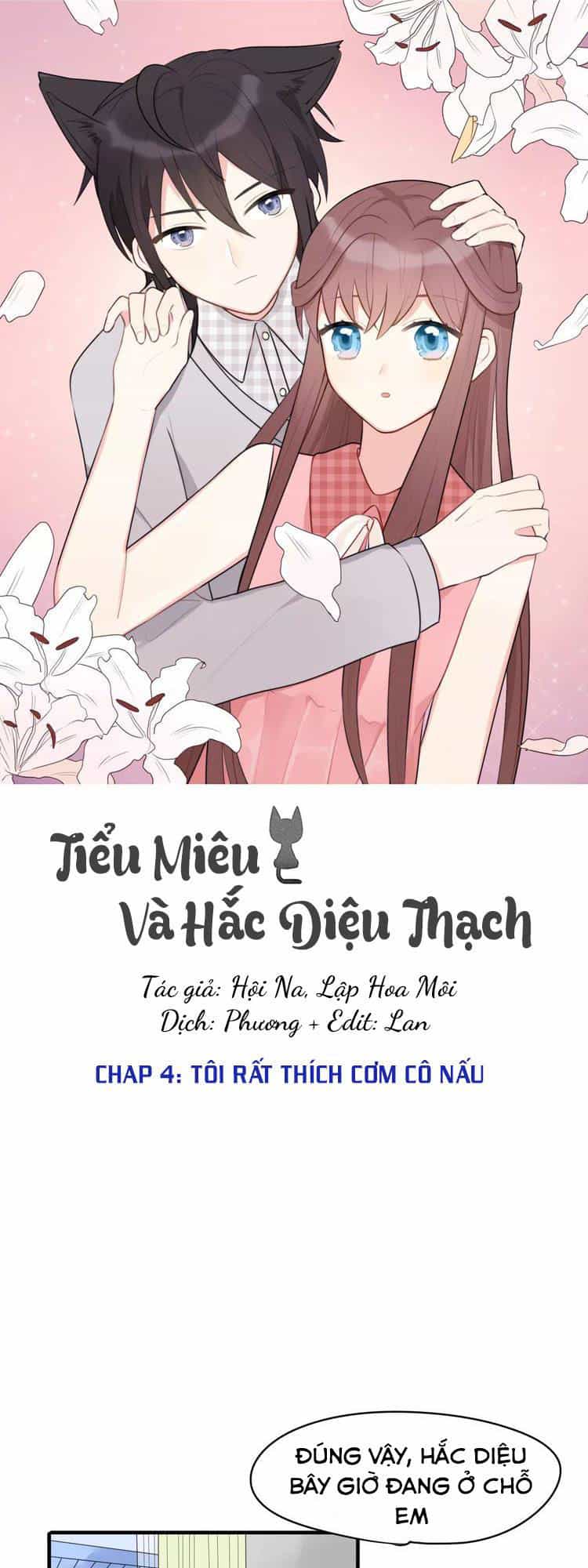 Tiểu Miêu Và Hắc Diệu Thạch - Chương 4 - ảnh 1
