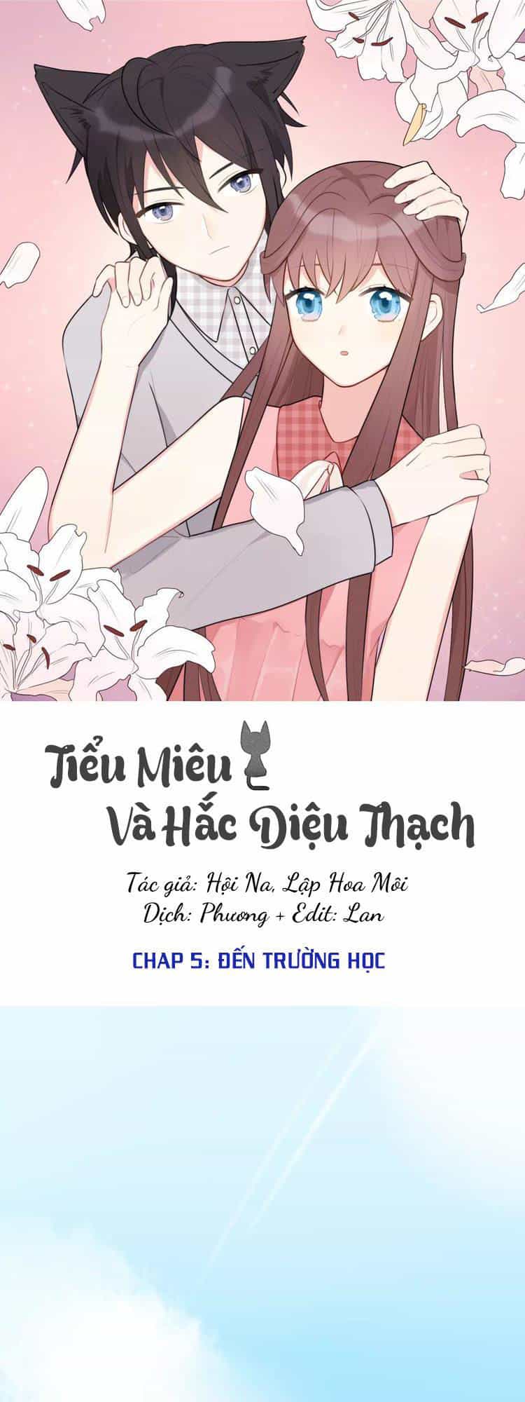 Tiểu Miêu Và Hắc Diệu Thạch - Chương 5 - ảnh 1