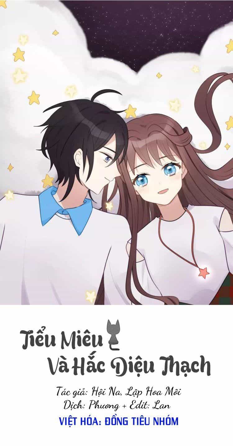 Tiểu Miêu Và Hắc Diệu Thạch - Chương 6 - ảnh 1