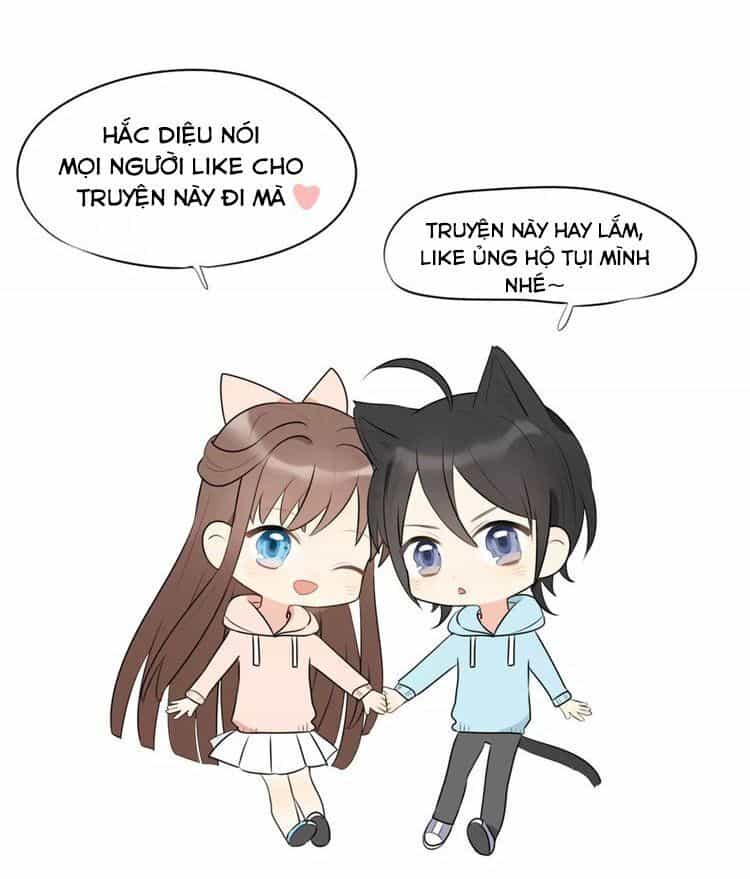 Tiểu Miêu Và Hắc Diệu Thạch - Chương 6 - ảnh 28
