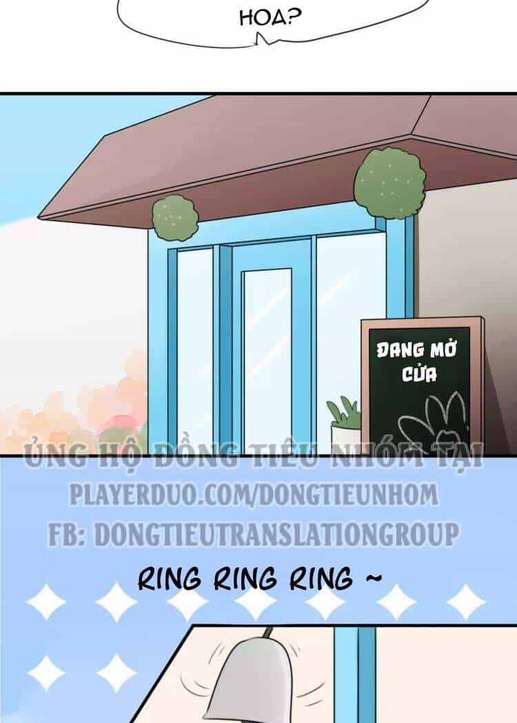 Tiểu Miêu Và Hắc Diệu Thạch - Chương 9 - ảnh 10