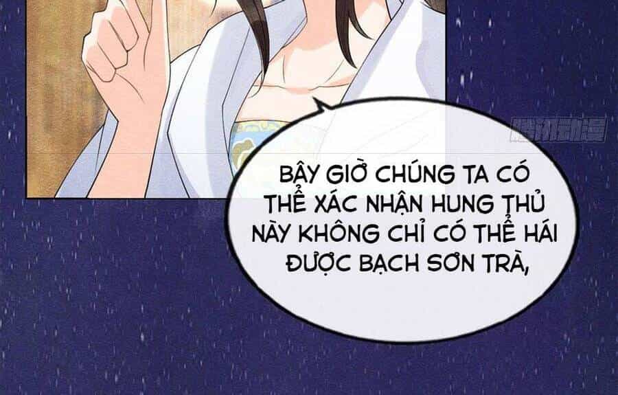 Tiêu Rồi, Lại Bị Bệnh Kiều Để Mắt Đến! - Chương 23 - ảnh 19