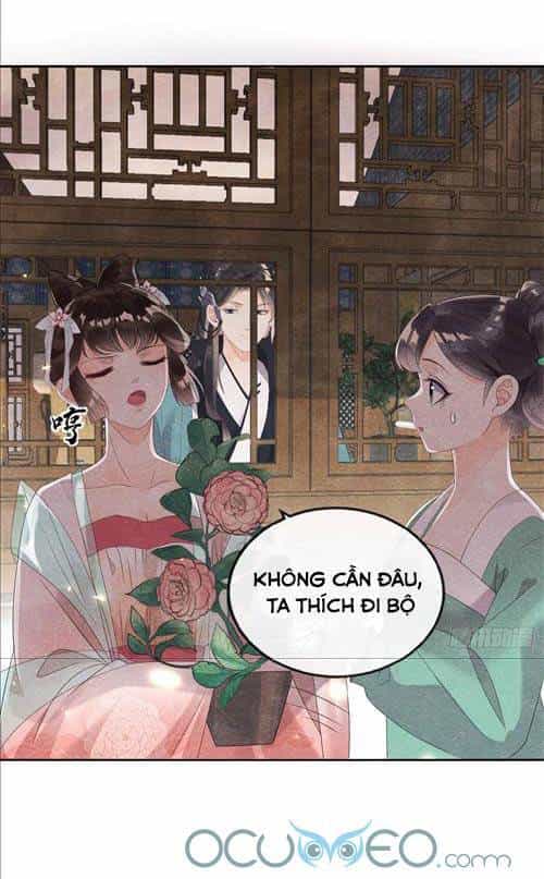 Tiêu Rồi, Lại Bị Bệnh Kiều Để Mắt Đến! - Chương 4 - ảnh 21