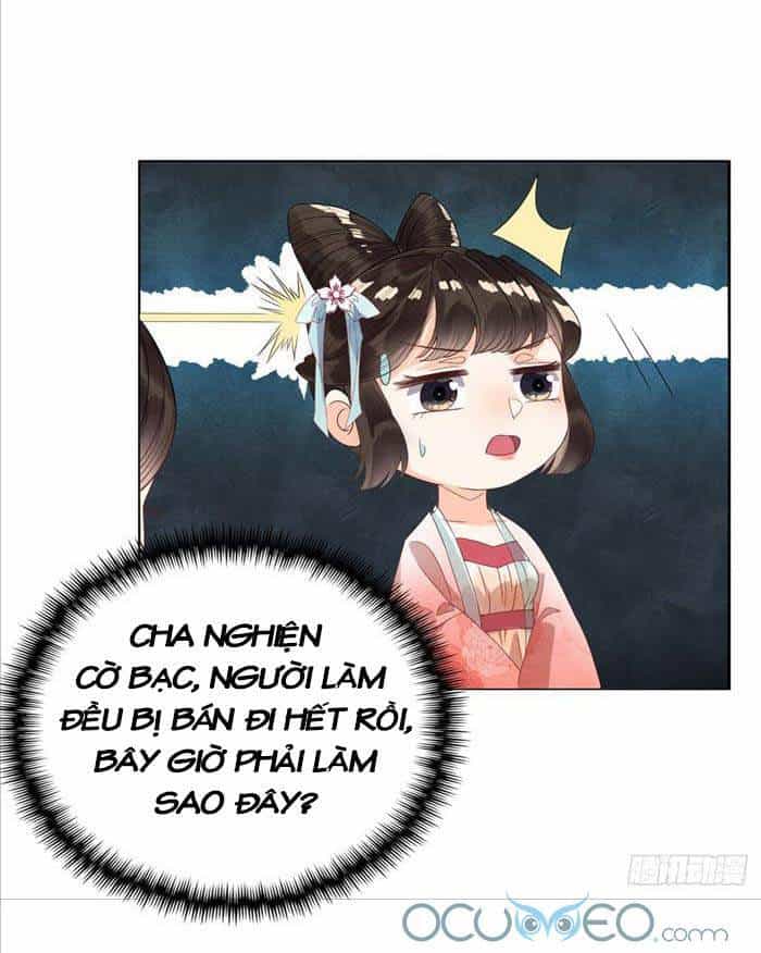 Tiêu Rồi, Lại Bị Bệnh Kiều Để Mắt Đến! - Chương 5 - ảnh 15
