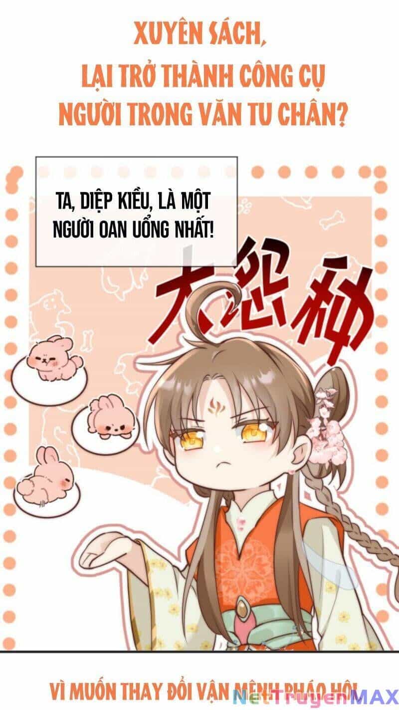 Tiểu Sư Muội Rõ Ràng Rất Mạnh, Nhưng Lại Quá Tấu Hề - Chương 0 - ảnh 3