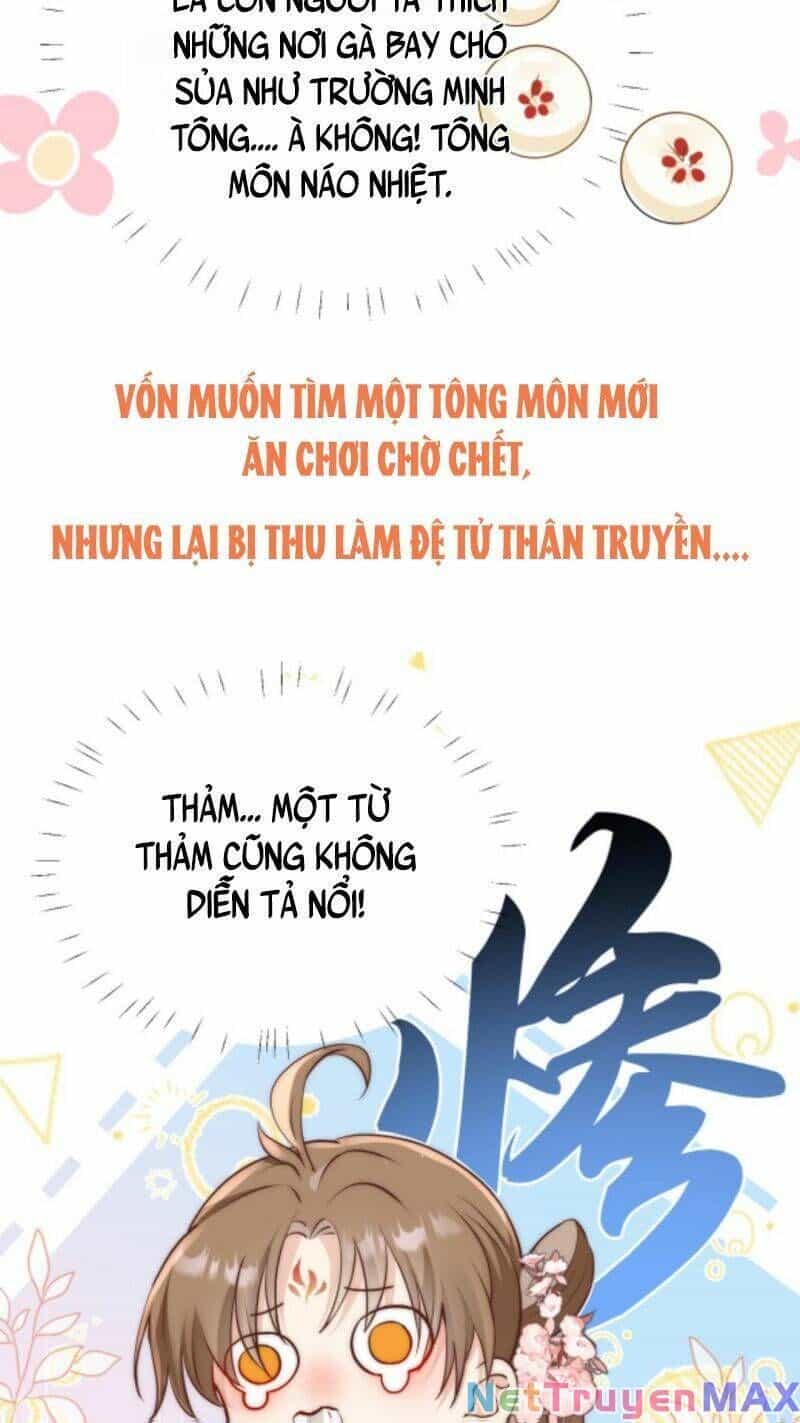 Tiểu Sư Muội Rõ Ràng Rất Mạnh, Nhưng Lại Quá Tấu Hề - Chương 0 - ảnh 5