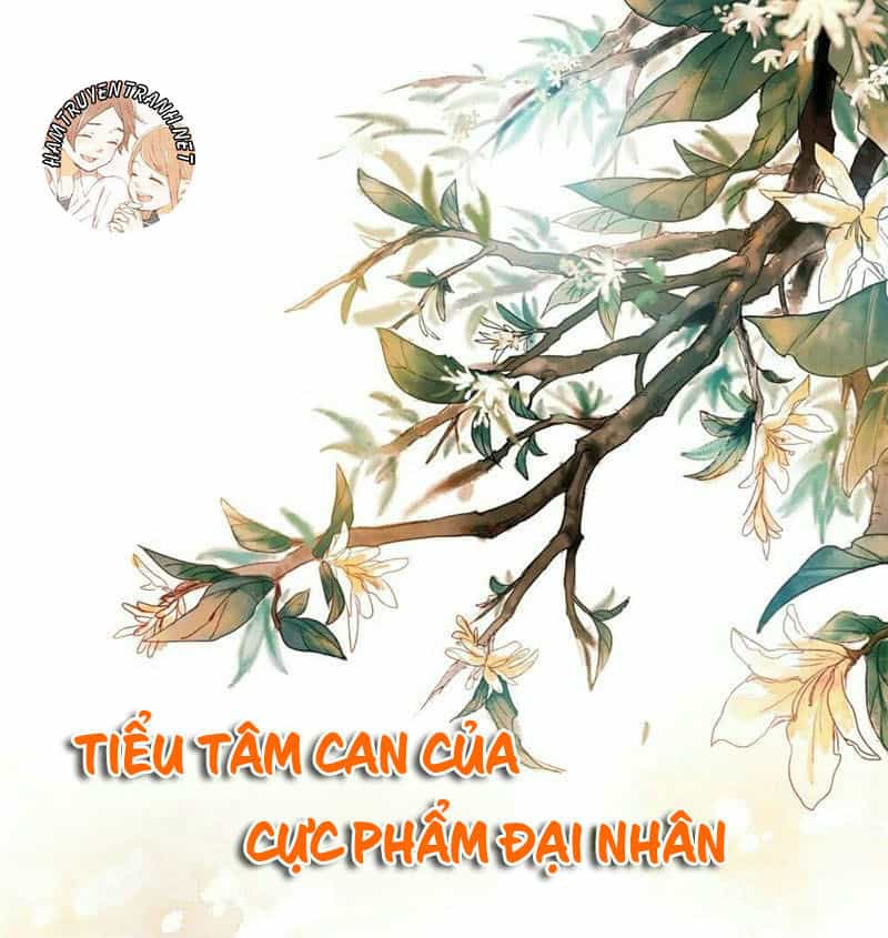 Tiểu Tâm Can Của Cực Phẩm Đại Nhân - Chương 1 - ảnh 2