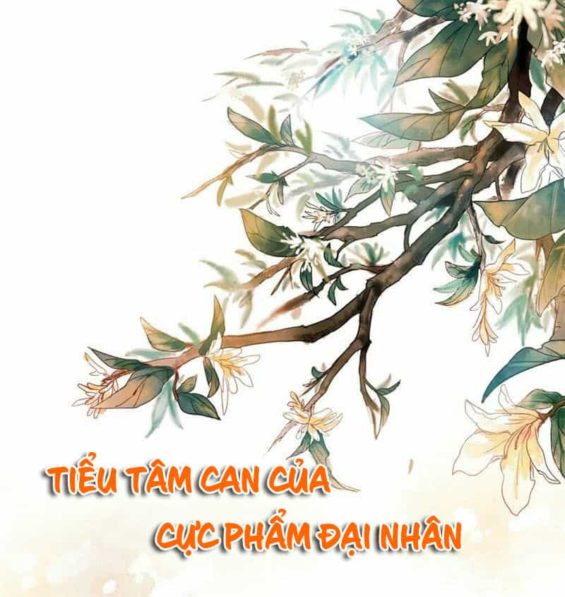 Tiểu Tâm Can Của Cực Phẩm Đại Nhân - Chương 20.1 - ảnh 3