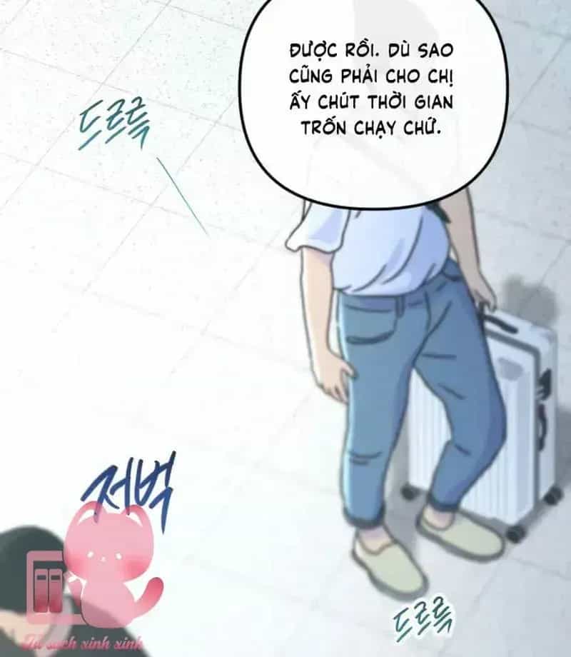 Tình Cờ Ta Gặp Nhau - Chương 117 - ảnh 38