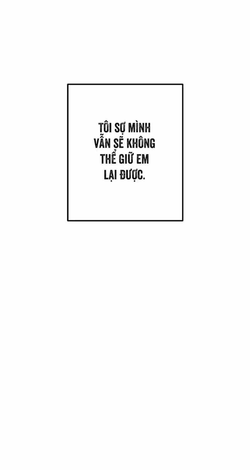 Tình Cờ Ta Gặp Nhau - Chương 119 - ảnh 63