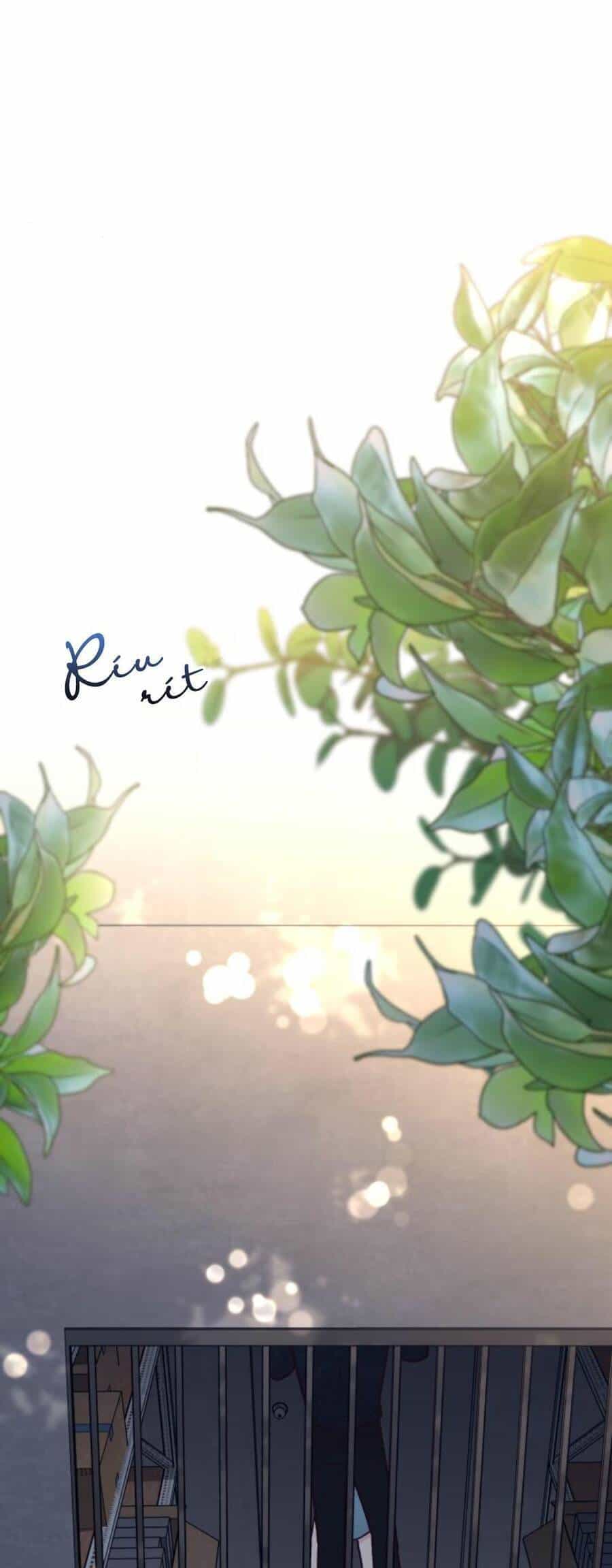 Tình Cờ Ta Gặp Nhau - Chương 28 - ảnh 94