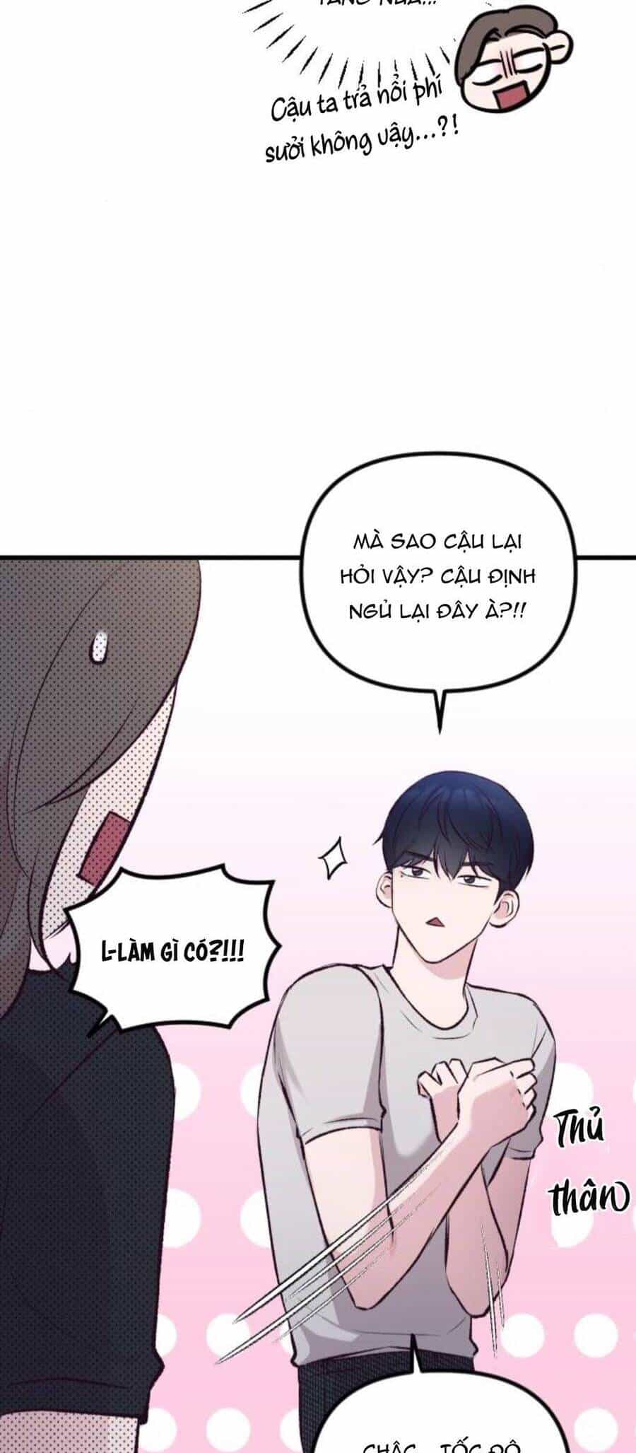 Tình Cờ Ta Gặp Nhau - Chương 8 - ảnh 17