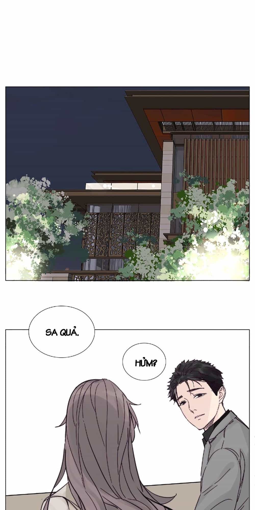 Tình Yêu Chớp Nhoáng - Chương 104 - ảnh 8